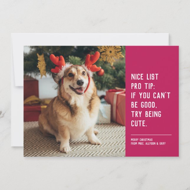 Nice list funny pet pink Christmas photo Holiday Card (Front)