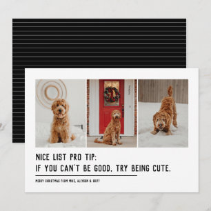 Nice list funny pet three photo black Christmas Holiday Card