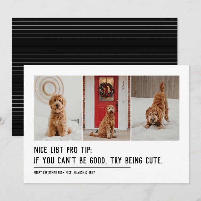 Nice list funny pet three photo black Christmas Holiday Card (Front/Back)