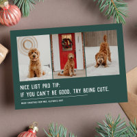 Nice list funny pet three photo green Christmas