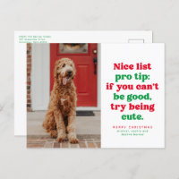 Nice list pro tip funny one photo Christmas pet 