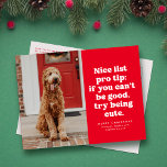 Nice list pro tip funny red Christmas pet photo Holiday Postcard<br><div class="desc">Nice list pro tip - if you can't be good try being cute. This festive and funny Christmas photo postcard is perfect for your too cute for the naughty list dog, cat or maybe even kid. Send smiles with this red and white one-photo holiday postcard featuring playful type and a...</div>