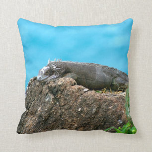 Nice Looking Iguana of St. Thomas U.S.V.I Throw Pillow