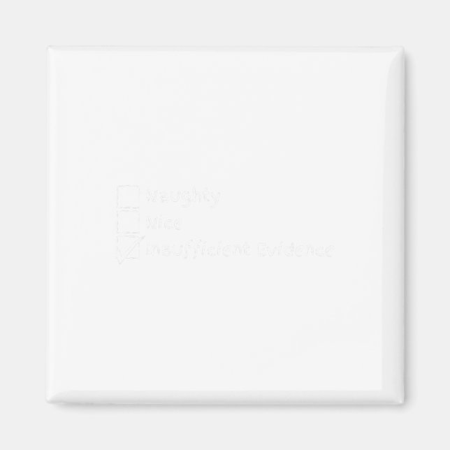 Nice Naughty Insufficient Evidence Christmas Funny Magnet (Front)