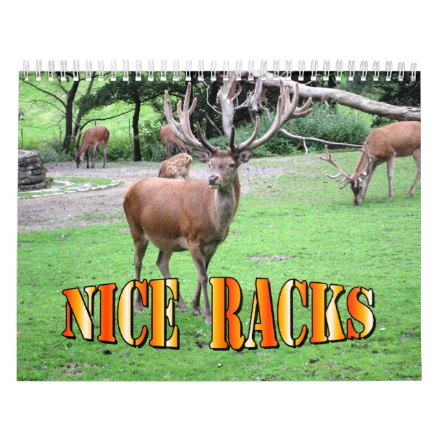 Nice Racks Wall Calendar (Cover)
