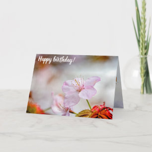 Nice Soft Pink Sakura Flower In Springtime Card