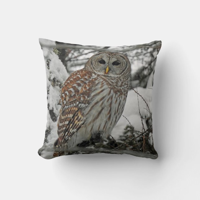 Nice striped throw pillow (Front)