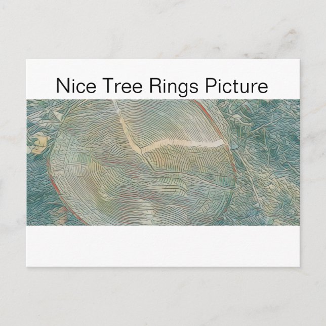 Nice Tree Rings Picture Postcard (Front)