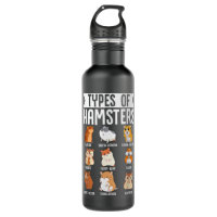 Nice Types Of Hamsters Cute Syrian Breed Rodents F