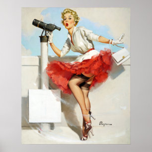 Nice View Pin Up Poster