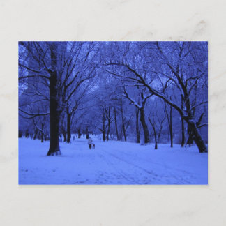 NICE WALK POSTCARD