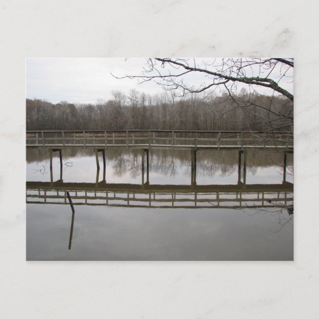 Nice walk postcard (Front)