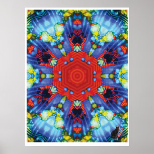 Niche Kinetic Collage Kaleidoscope Poster
