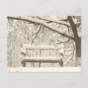 Nichols Arboretum Postcard