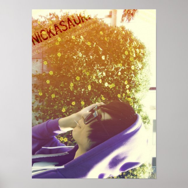 nickasaur ! Affiche (Devant)