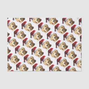 NICKEL-WITH-A-HAT-3 TISSUE PAPER