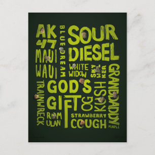 Nicknames Postcard
