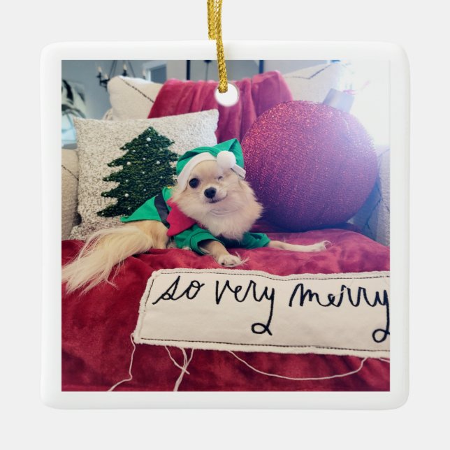 Nico Christmas Ornament 2024 (Front)