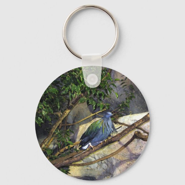 Nicobar Pigeon Keychain (Front)
