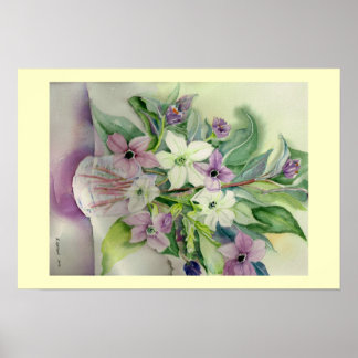 Nicotiana Bouquet Poster