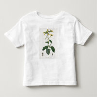 Nicotiana from 'Phytographie Medicale' by Joseph R