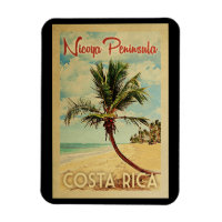 Nicoya Peninsula Palm Tree Vintage Travel
