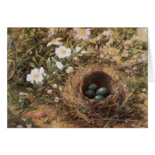 Nid d'oiseau et Roses de chien par John William Hi