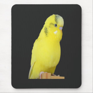 niedlicher gelber Wellensittich Mouse Pad
