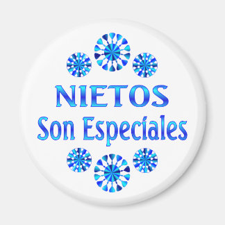 Nietos Son Especiales Magnet