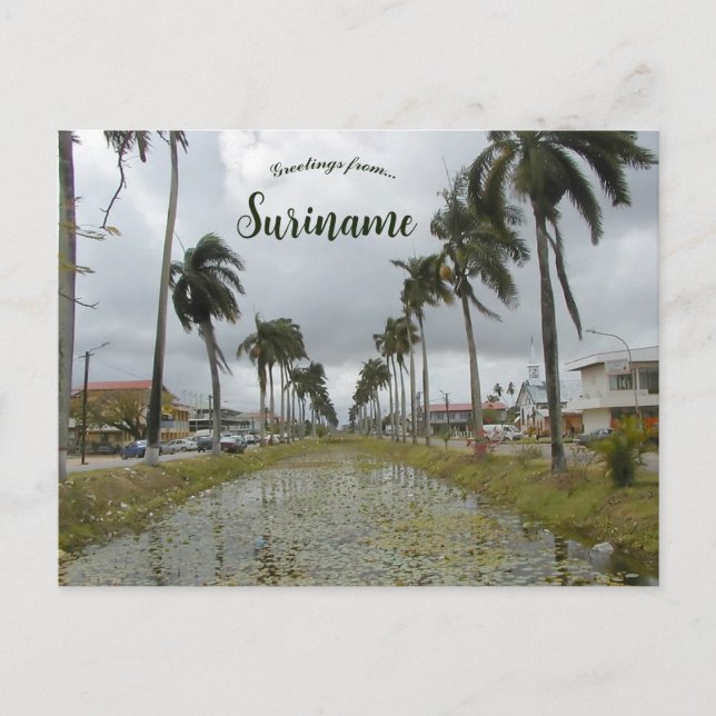 Nieuw Nickerie Suriname Postcard (Front)
