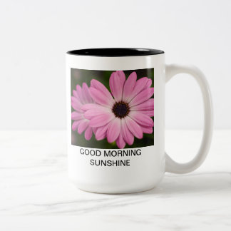 nifss Two-Tone coffee mug