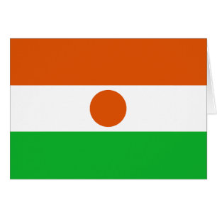 Niger Flag
