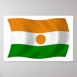 Niger Flag Poster Print