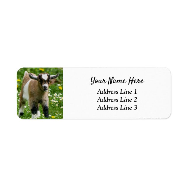 Nigerian Dwarf Goat Kid Return Address Label (Front)