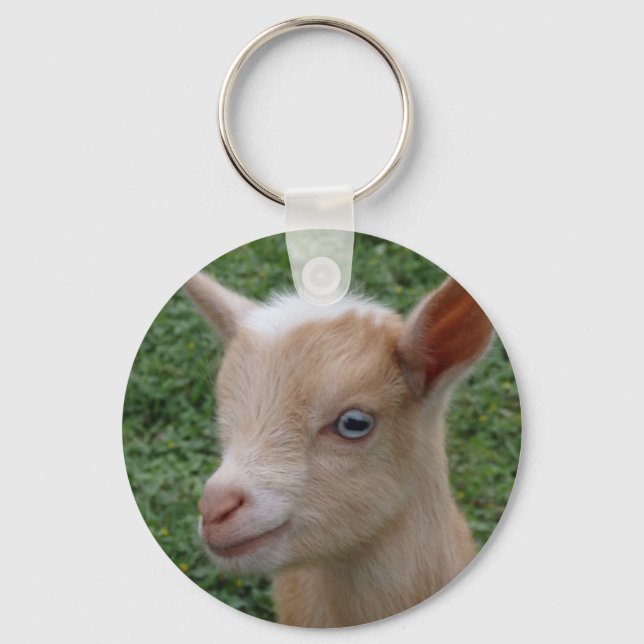 Nigerian Dwarf Goat Kid with Blue Eyes Keychain (Front)