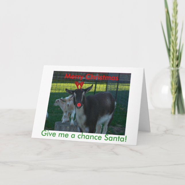 Nigerian Goat Christmas Card (Front)