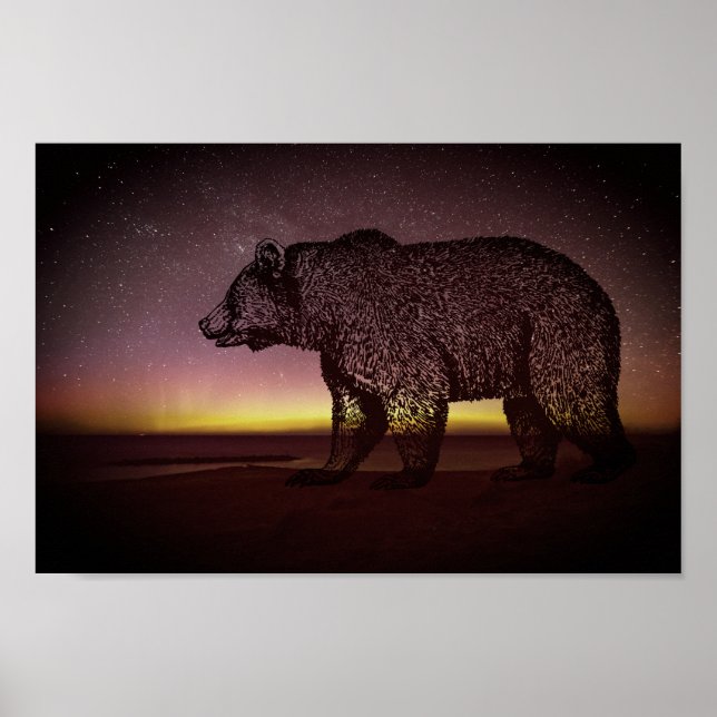 Night Bear And Aurora Borealis Poster (Front)