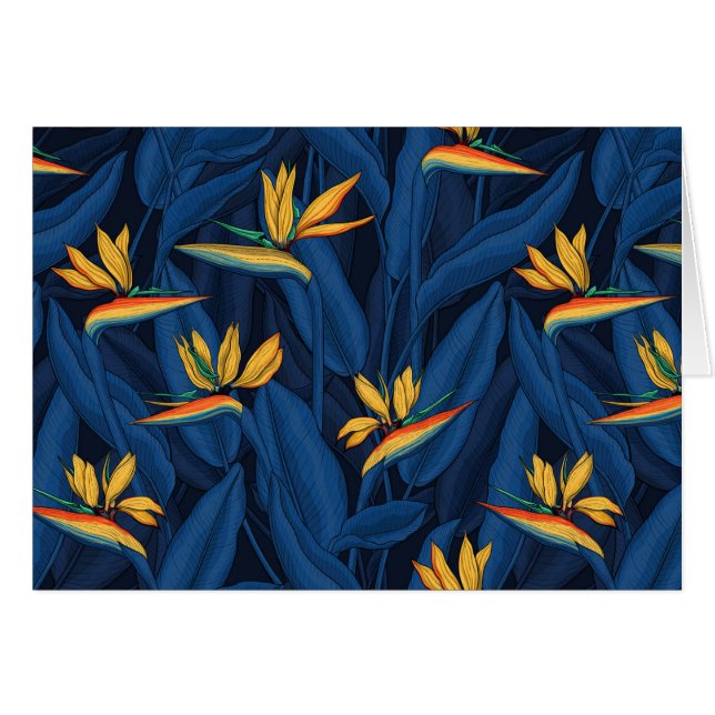 Night bird of paradise garden 2 (Front Horizontal)