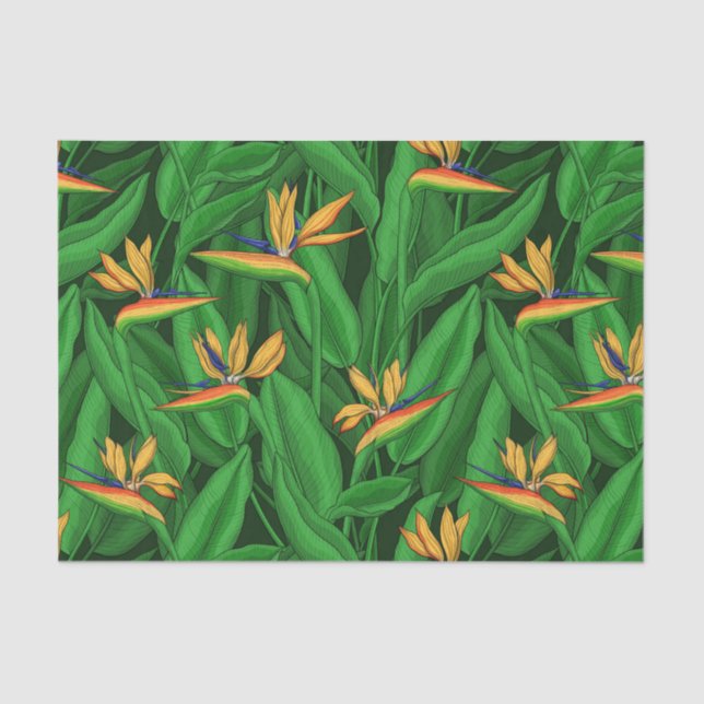 Night bird of paradise garden tissue paper (Front)
