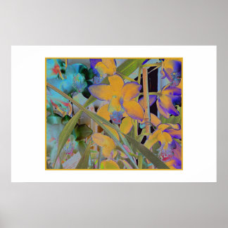 Night Bloom Poster