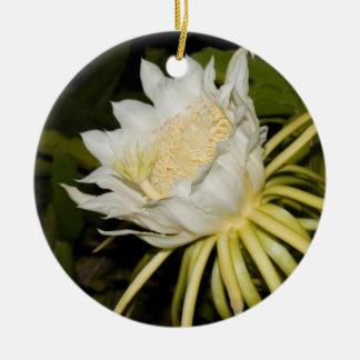 Night blooming cereus flower ornament. ceramic ornament