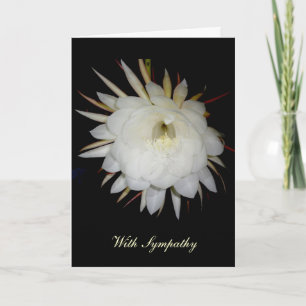Night-Blooming Cereus Sympathy Card