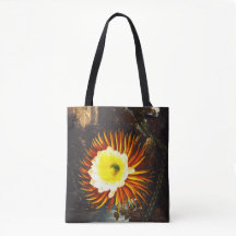 Night Blowing Cereus 