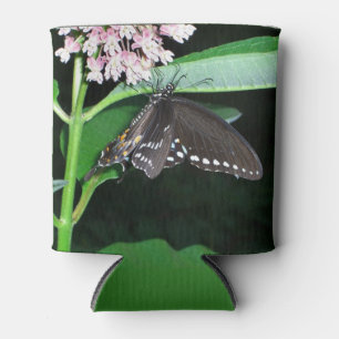 Night Butterfly Black Swallowtail at Shenandoah Can Cooler