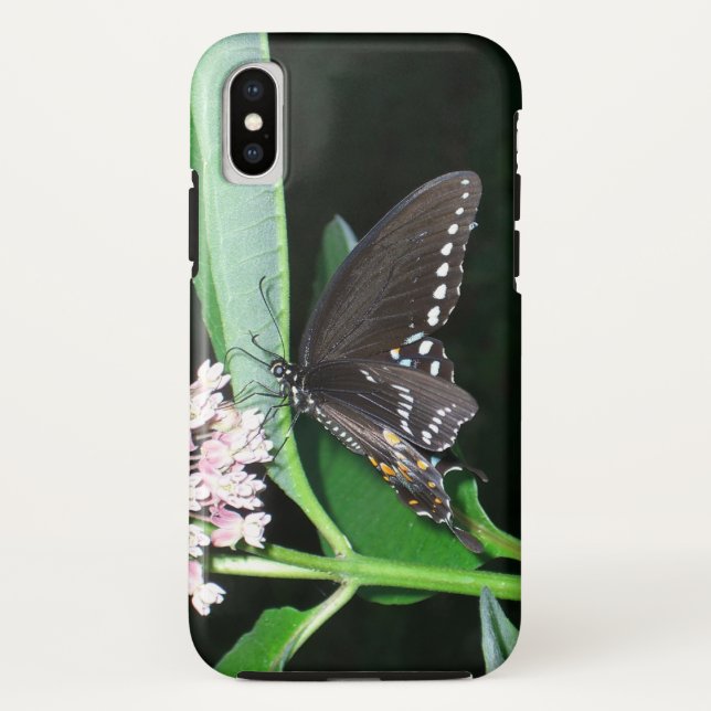 Night Butterfly Black Swallowtail at Shenandoah Case-Mate iPhone Case (Back)