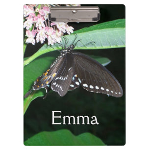 Night Butterfly Black Swallowtail at Shenandoah Clipboard