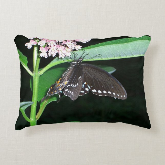 Night Butterfly Black Swallowtail at Shenandoah Decorative Pillow (Front)