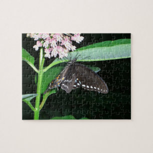 Night Butterfly Black Swallowtail at Shenandoah Jigsaw Puzzle