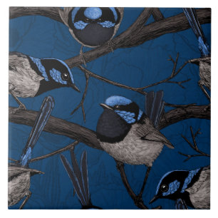 Night fairy wrens tile