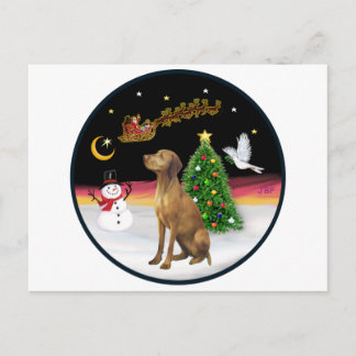 Night Flight (R) - Vizsla Postcard